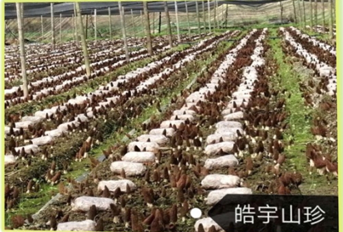 &#20061;&#24030;&#32593;&#39029;&#29256;&#45;&#20061;&#24030;&#40;&#20013;&#22269;&#41;&#95;&#20061;&#24030;&#40;&#20013;&#22269;&#41;