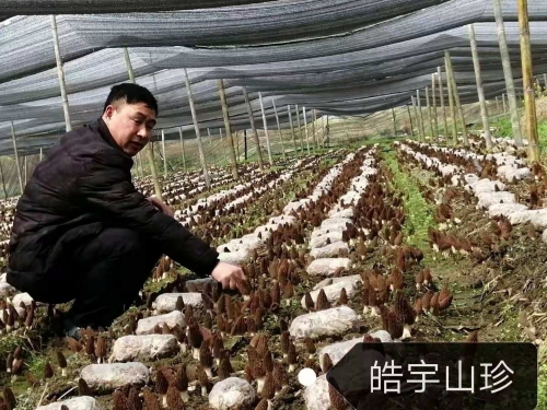 &#20061;&#24030;&#32593;&#39029;&#29256;&#45;&#20061;&#24030;&#40;&#20013;&#22269;&#41;&#95;&#20061;&#24030;&#40;&#20013;&#22269;&#41;