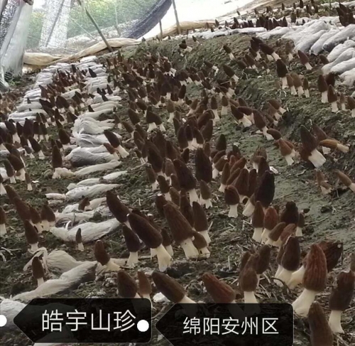 &#20061;&#24030;&#32593;&#39029;&#29256;&#45;&#20061;&#24030;&#40;&#20013;&#22269;&#41;&#95;&#20061;&#24030;&#40;&#20013;&#22269;&#41;