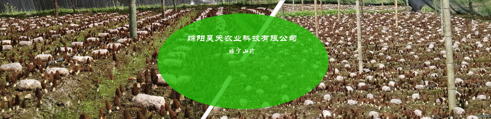 &#20061;&#24030;&#32593;&#39029;&#29256;&#45;&#20061;&#24030;&#40;&#20013;&#22269;&#41;&#95;&#20061;&#24030;&#40;&#20013;&#22269;&#41;