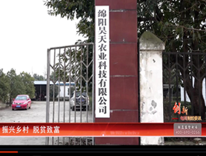 &#20061;&#24030;&#32593;&#39029;&#29256;&#45;&#20061;&#24030;&#40;&#20013;&#22269;&#41;&#95;&#20061;&#24030;&#40;&#20013;&#22269;&#41;