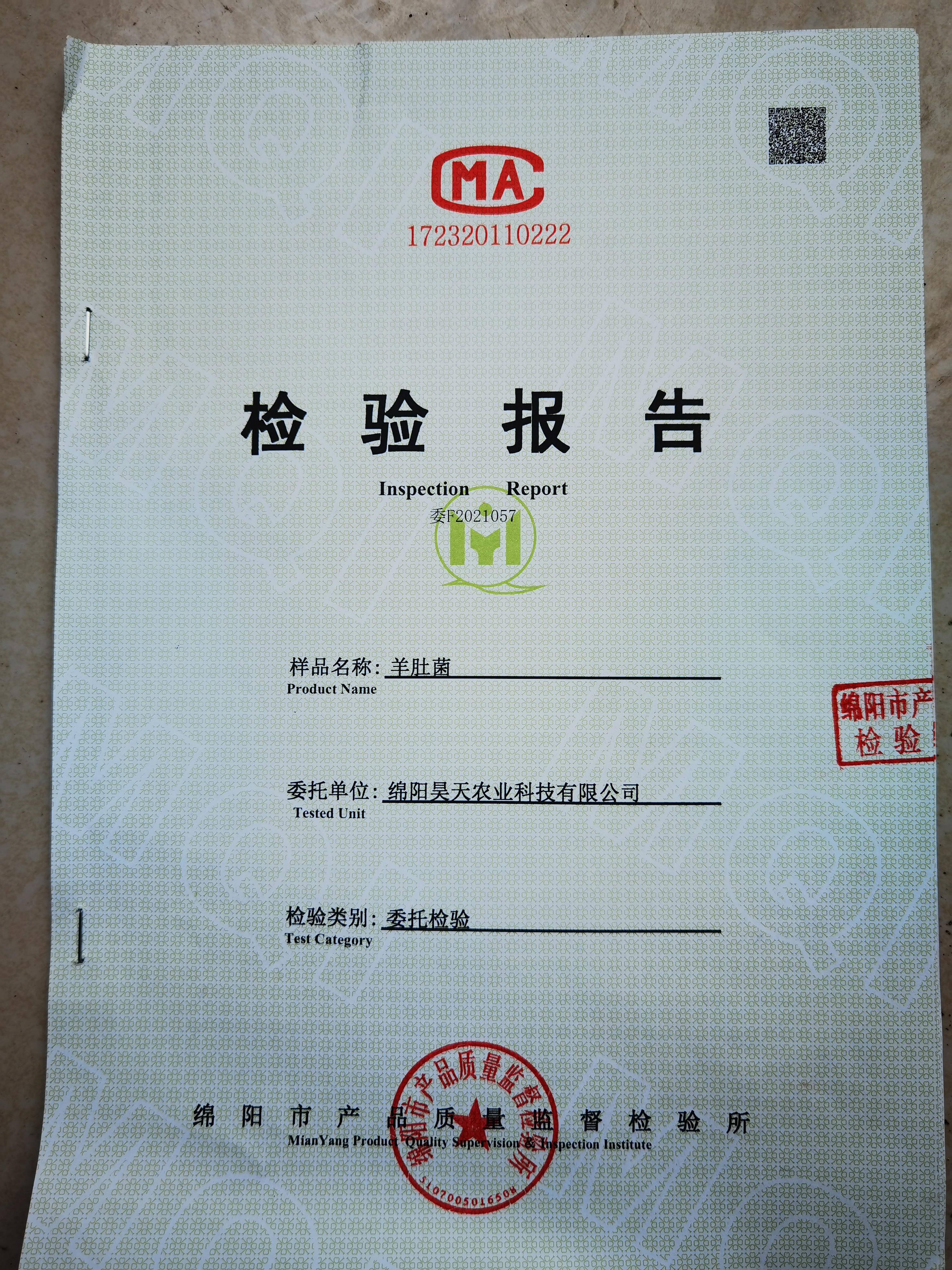 &#20061;&#24030;&#32593;&#39029;&#29256;&#45;&#20061;&#24030;&#40;&#20013;&#22269;&#41;&#95;&#20061;&#24030;&#40;&#20013;&#22269;&#41;